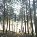 나도 스마트폰 사진작가 이미지