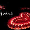 곰손밥상 | 부평프러포즈공간, 곰손도 전문가처럼 성공하는 프라이빗 패키지