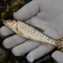 원통중학교 이미지