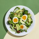 올리브비어 이미지