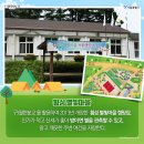 횡성 별빛마을 캠핑장
