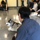 혼자두면 장판뜯어서 차린 개카페 이미지