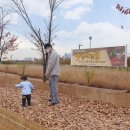 아시아드주경기장 이미지