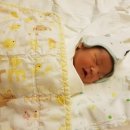 크래들산후조리원 이미지