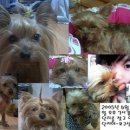 안녕하세요 이미지