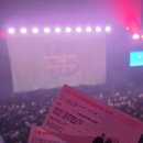 태광체육관 | [YB 콘서트] 2025 윤도현밴드 30주년 콘서트 #내돈내산 #셋리스트