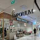 경보사우나센터 | [태국 방콕 4] 새벽 공항가기전까지 체크아웃하고 그랜드 센터 포인트 호텔 터미널 21 수영장 이용 후기