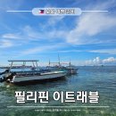 BS PC | 보홀 여행 준비 필리핀 이트래블 온라인 입국 신고 작성 방법과 면세 한도
