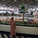 비타민게임랜드 이미지