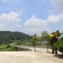 달오름마을 이미지