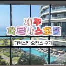 (주)삼정관광호텔 | 제주 파르나스 호텔 디럭스킹 일반전망 객실, 수영장 30만원대 호캉스 후기