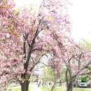 월곡역사공원 이미지