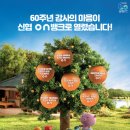 고려신용협동조합