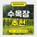 영천 죽림사 철조여래좌상 이미지