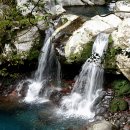 원앙목장 이미지