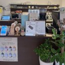 대구테크노초등학교 | 대구 테크노폴리스 현풍 두바이쫀득쿠키 두쫀쿠 맛집 유가양과점