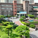 교육청길 이미지