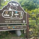 현준목장 네이버블로그