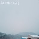 스테이odm고운 이미지