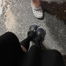 영일만항 공중화장실 | 울릉도 프리다이빙 여행 : 배멀미 없는 울릉크루즈 뉴 씨다오 펄 출항 후기