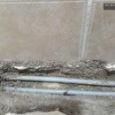 하단동119 이미지