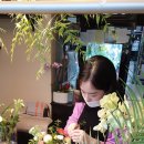 보투아플라워 이미지