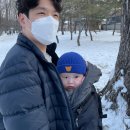 서오릉산책