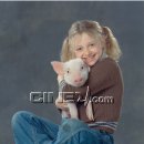 샬롯의 거미줄 이미지