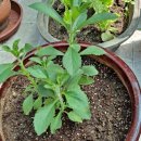 김정수농장 이미지