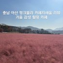 몽블레 | 아산 핑크뮬리 카페지새울 리뷰&amp;가을 감성 힐링카페
