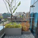 수목가든 | 종로 대학로 NC문화재단 빌딩 조경 식물식재 관엽식물 정원조성 실외정원 수목관리 [방플라워가든]