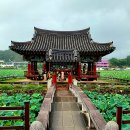 유등연지입구 이미지