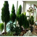 흥왕목장 티스토리