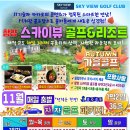 스카이뷰 이미지