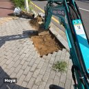 주정차017 이미지