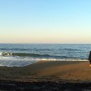 나곡해수욕장 이미지