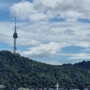 청파초등학교 | 용산 효창공원 신축아파트 데시앙포레 임장 다녀온 후기