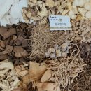 중국한의원 이미지