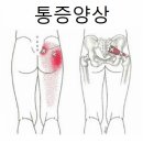 퍼스널트레이닝지니 이미지