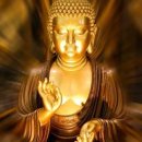 소리질러 | 드디어 난포가 컸습니다!! 소리질러!!!!(~조용~) 평일 지은영교수님 내원 후기