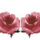 인터존PC방 이미지