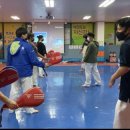 대호미트 이미지