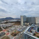 어진동_문화체육관광부 이미지