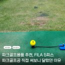 클럽엠홀스파크 | 파크골프용품 추천, FILA 5피스 파크골프공 직접 써보니 달랐던 이유