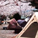 삼척엘림캠핑장 이미지