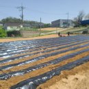 병만농장 이미지