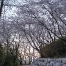 고창면옥 고창본점 이미지