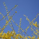 (주)건우이앤씨건축사사무소 | 블록체인 구축 전문업체 현황 및 순위