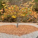 달과별 캠핑장 이미지