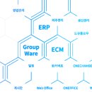 아마란스테크